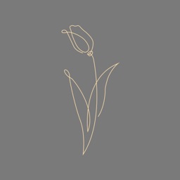 Tulipsfilm